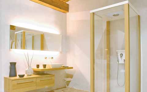 salle de bains avec douche
